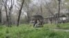 История кыргызстанки, которая во время работы в России узнала, что ее брак расторгнут