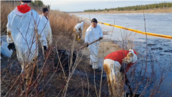 LUKoil Says It Cleaned Up Its Oil Spill. Russian Environmentalists Say The Contamination Continues.