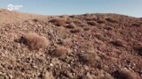 Tales From The New Silk Road